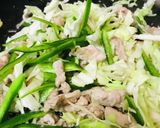 豚細切れ肉とキャベツピーマンのとんぺい焼作り方2写真