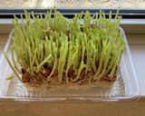 豆苗とナスのアラビアータ作り方4写真