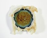 青いベイクドチーズケーキ作り方8写真