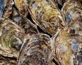 水炊き♪味つけはお好みで好きな物を♡作り方11写真