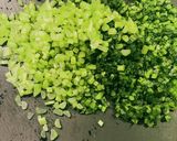 おにぎりに混ぜるとやばいうまい大根の葉作り方5写真