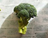 切り方コツあり☆ブロッコリーの塩麹炒め作り方1写真