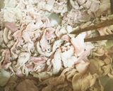 豚肉と大根の煮物作り方7写真