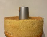 かくれんぼシフォンケーキ作り方11写真