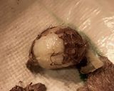 シンプルisベスト！１番好きな里芋食べ方作り方5写真