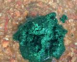 カレー麹deかぶの葉のベジタブルカレー作り方5写真