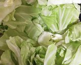 簡単!ロールキャベツもどき！キャベツ消費作り方7写真