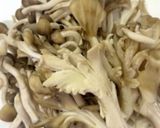 レンジ　鶏肉のマスタードクリーム作り方1写真