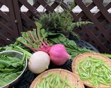 身近な食品で　カブの葉と豚ひき肉のおやき作り方11写真