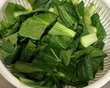 時短副菜：小松菜の塩昆布和え作り方1写真