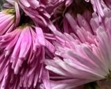 もって菊で秋の味覚を楽しみましょう！作り方1写真