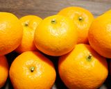 自家製ミカンの缶詰風作り方5写真