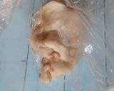 手作り低糖質大豆パン作り方7写真