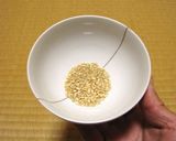 バケツ稲の恵み2023作り方7写真
