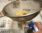 バケツ稲の恵み2023作り方6写真