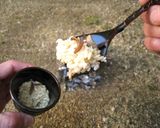 バケツ稲の恵み2023作り方11写真