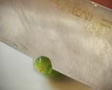 りんごと柿ときゅうりのサラダ(季節の味)作り方20写真