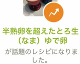 半熟卵を超えたとろ生（なま）ゆで卵作り方12写真