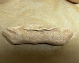 全粒粉100%のベーグル（砂糖不使用）作り方5写真