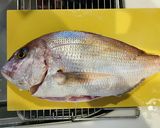 釣って来たフグと真鯛で鍋しゃぶ作り方3写真