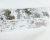 昆布締め三種(鯛・鰤・勘八)作り方6写真