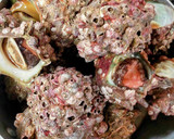 磯の香りがたまらん！サザエご飯を簡単に♪作り方1写真