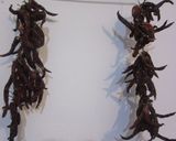 ペペロニクルスキのパスタ作り方4写真