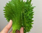 大葉の保存はこれで長持ち♪作り方4写真