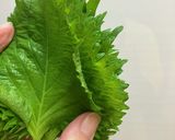 大葉の保存はこれで長持ち♪作り方5写真