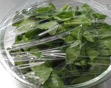【野菜ソムリエ】ほうれん草のツナ昆布和え作り方2写真