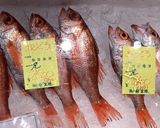 のどぐろの梅煮～魚の駅生地～作り方1写真