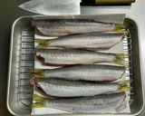 カマス（かます）の炙り刺し～魚の駅生地～作り方3写真