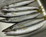 カマス（かます）の炙り刺し～魚の駅生地～作り方2写真