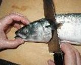 基礎シリーズ 4 ~魚の3枚おろし~作り方1写真