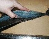 基礎シリーズ 4 ~魚の3枚おろし~作り方3写真