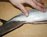基礎シリーズ 4 ~魚の3枚おろし~作り方4写真