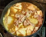 白菜と豆腐のカレー煮作り方5写真
