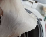 レーズン食パン作り方2写真