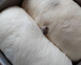 レーズン食パン作り方6写真