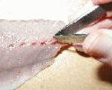基礎シリーズ 4 ~魚の3枚おろし~作り方13写真