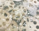 シャキシャキ歯応え 蓮根のはさみ焼き作り方3写真