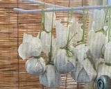 味噌ゆべし作り方6写真