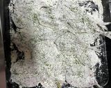 鯵のムニエル作り方1写真