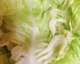 チキンキャベツロール作り方7写真