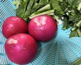 飛騨の味　白菜の切り漬け作り方3写真