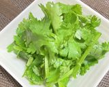 パクチー好きさんにオススメ【鯖パク鍋】作り方4写真