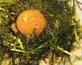 たまかけごはん●のり胡椒風味作り方2写真