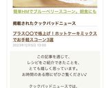 簡単HMでブルーベリースコーン。朝食にも作り方18写真