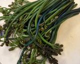簡単　わらびのおひたし　滋味深い味作り方3写真