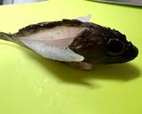 骨ごといけちゃうカサゴの唐揚げ作り方2写真